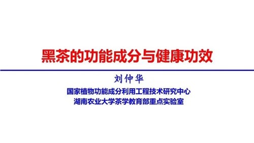 茶的功能成分與健康功效 | 茶、飲茶與健康