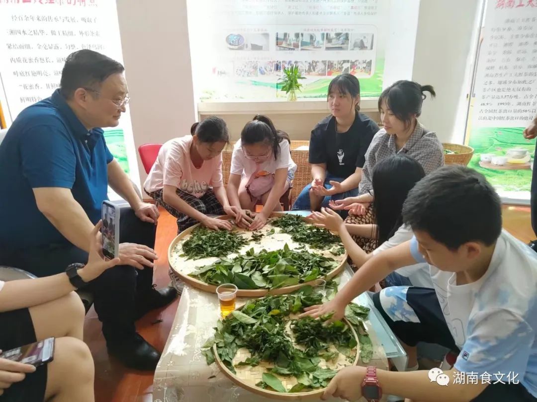 原載人民日?qǐng)?bào)“人民視點(diǎn)”茶葉是怎樣做出來(lái)的？湖南大、中、小學(xué)生體驗(yàn)湖南工夫紅茶制作